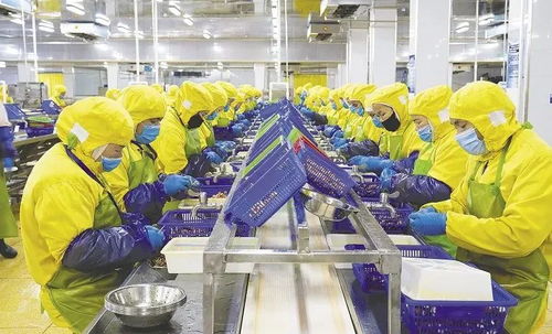新風口新賽道上的拼搶和吶喊 我市預制菜企業發展一線觀察